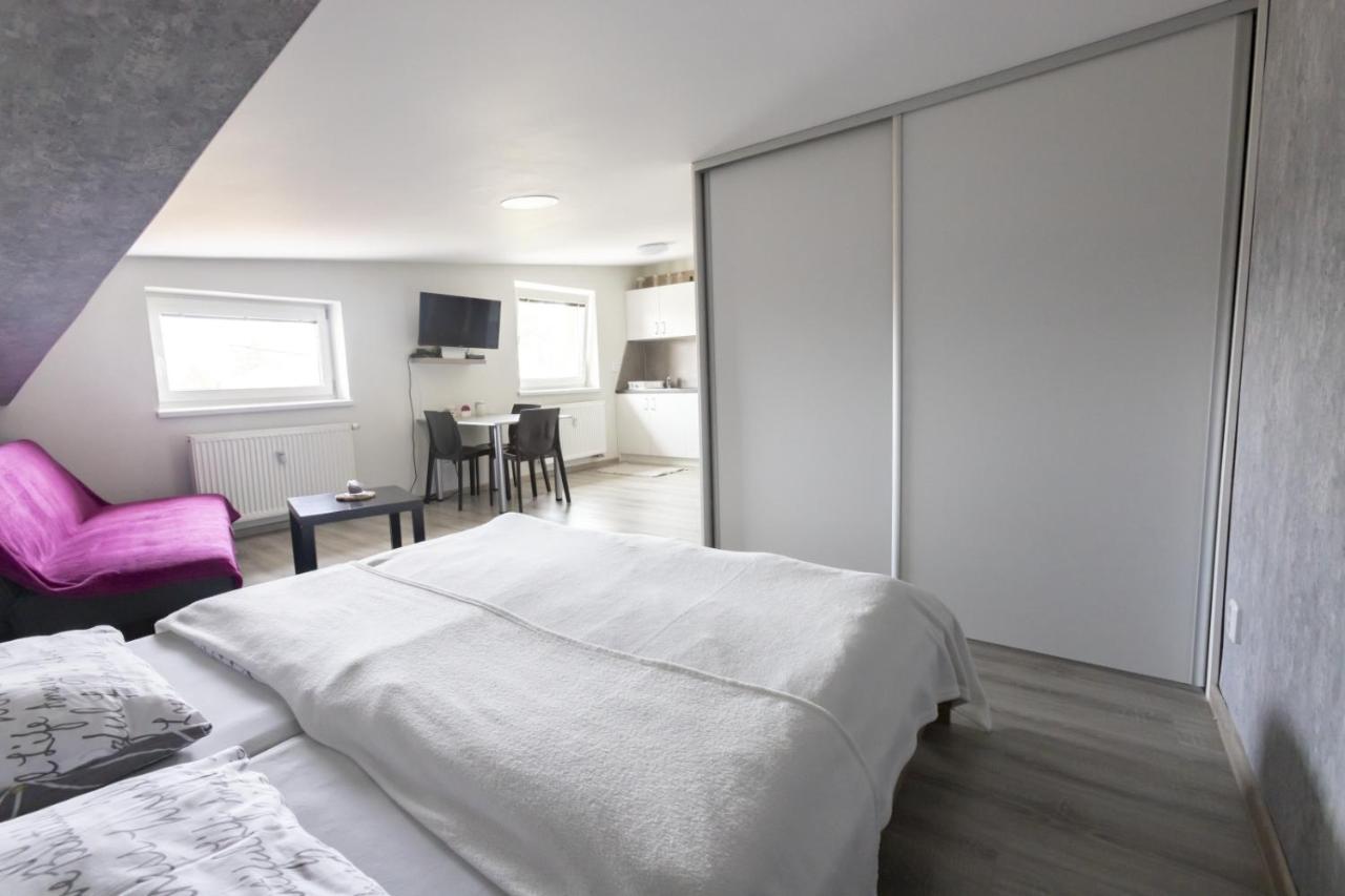 Theo Homestay Velky Slavkov